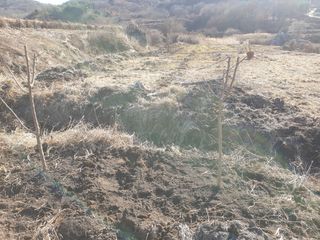 허굴산농장님의 기타작물 · 자유게시판 작성글 사진