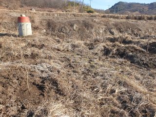 허굴산농장님의 기타작물 · 자유게시판 작성글 사진