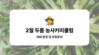 두릅 농사도우미님의 두릅 · 품종•종자 작성글 사진