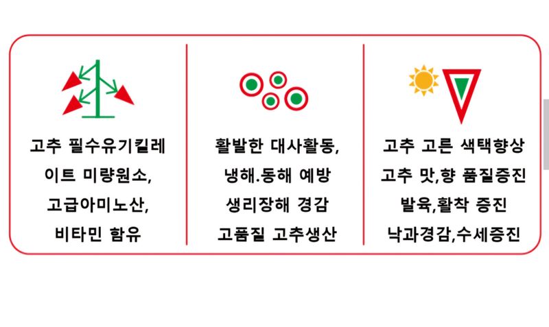 한농농약종묘사님의 장터 판매 상품 [대유 고추영양제 500ml] 첨부 사진