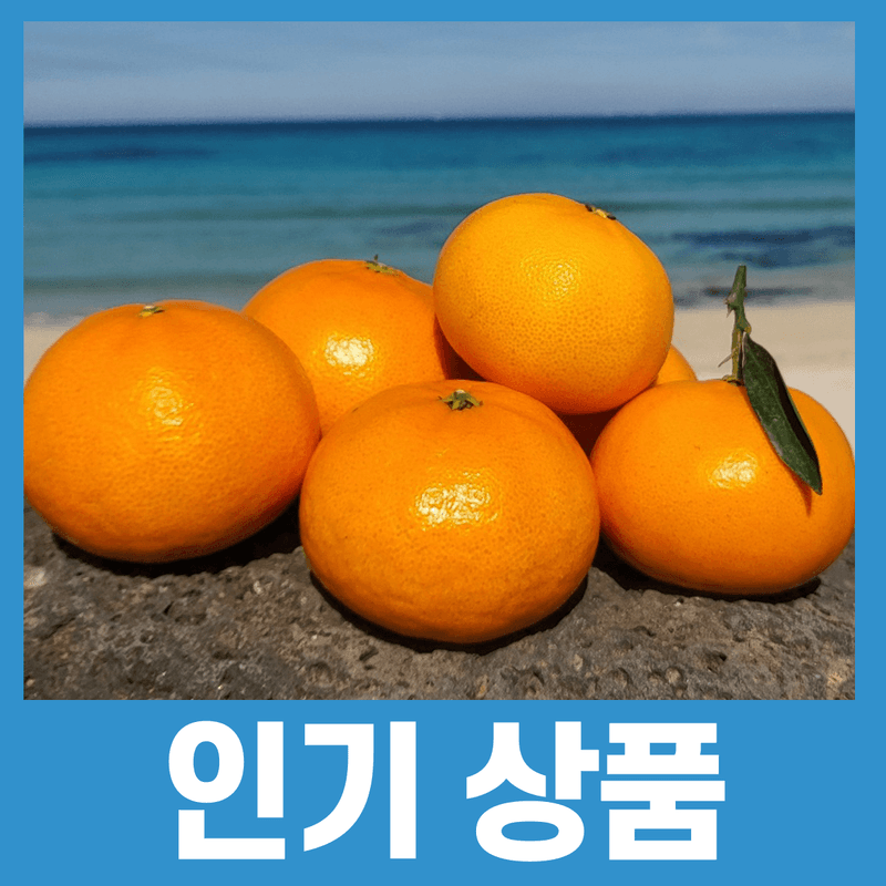 들깨10545님의 장터 판매 상품 [천혜향 가정용,명품 선물판매(판매중지)] 첨부 사진