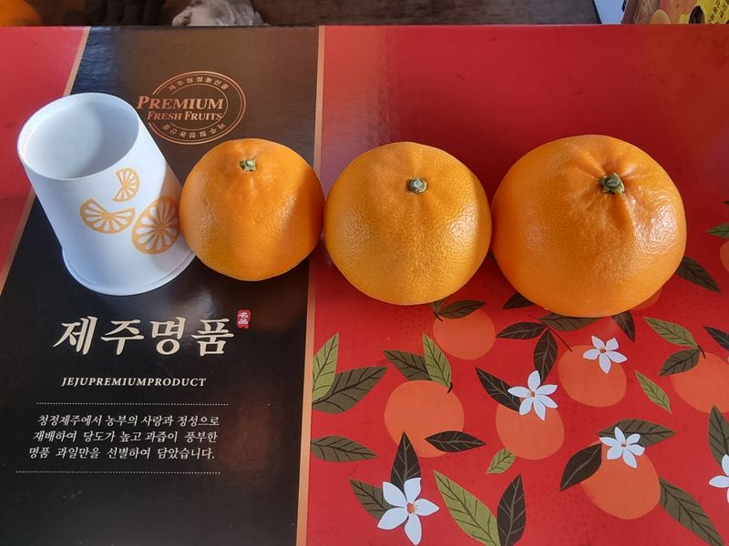 장터 상품 [천혜향 가정용,명품 선물판매(판매중지)] 썸네일