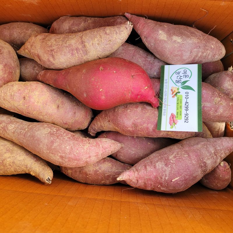 윤희순님의 장터 판매 상품 [여주 꿀고구마 10키로] 첨부 사진