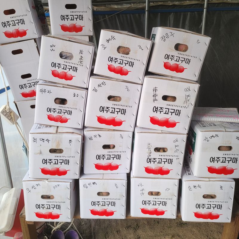 윤희순님의 장터 판매 상품 [여주 꿀고구마 10키로] 첨부 사진