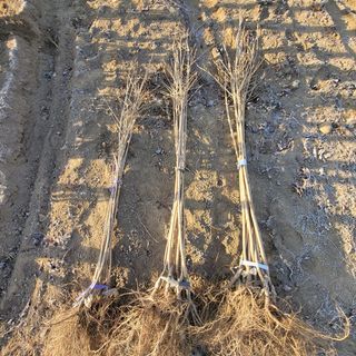 상호현님의 기타작물 · 자유게시판 작성글 사진