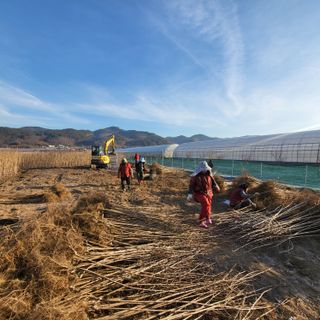 상호현님의 기타작물 · 자유게시판 작성글 사진