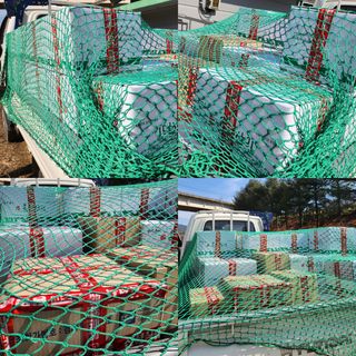 버섯스토리님의 기타작물 · 자유게시판 작성글 사진