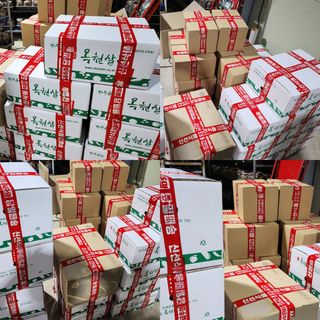 버섯스토리님의 기타작물 · 자유게시판 작성글 사진