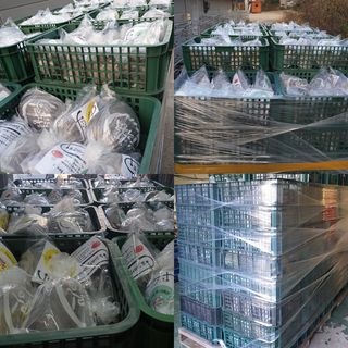 버섯스토리님의 기타작물 · 자유게시판 작성글 사진