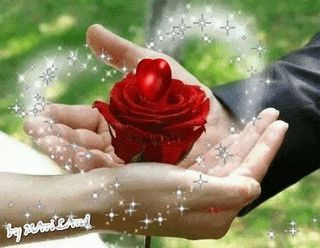 김민철 님의 기타작물 · 자유게시판 작성글 사진