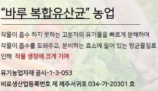 박근희님의 오이 · 자유게시판 작성글 사진