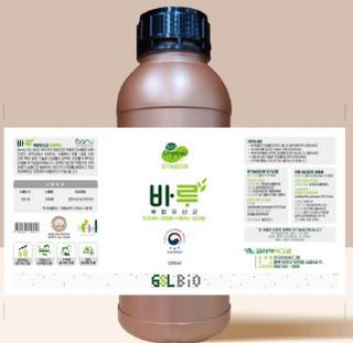 박근희님의 오이 · 자유게시판 작성글 사진