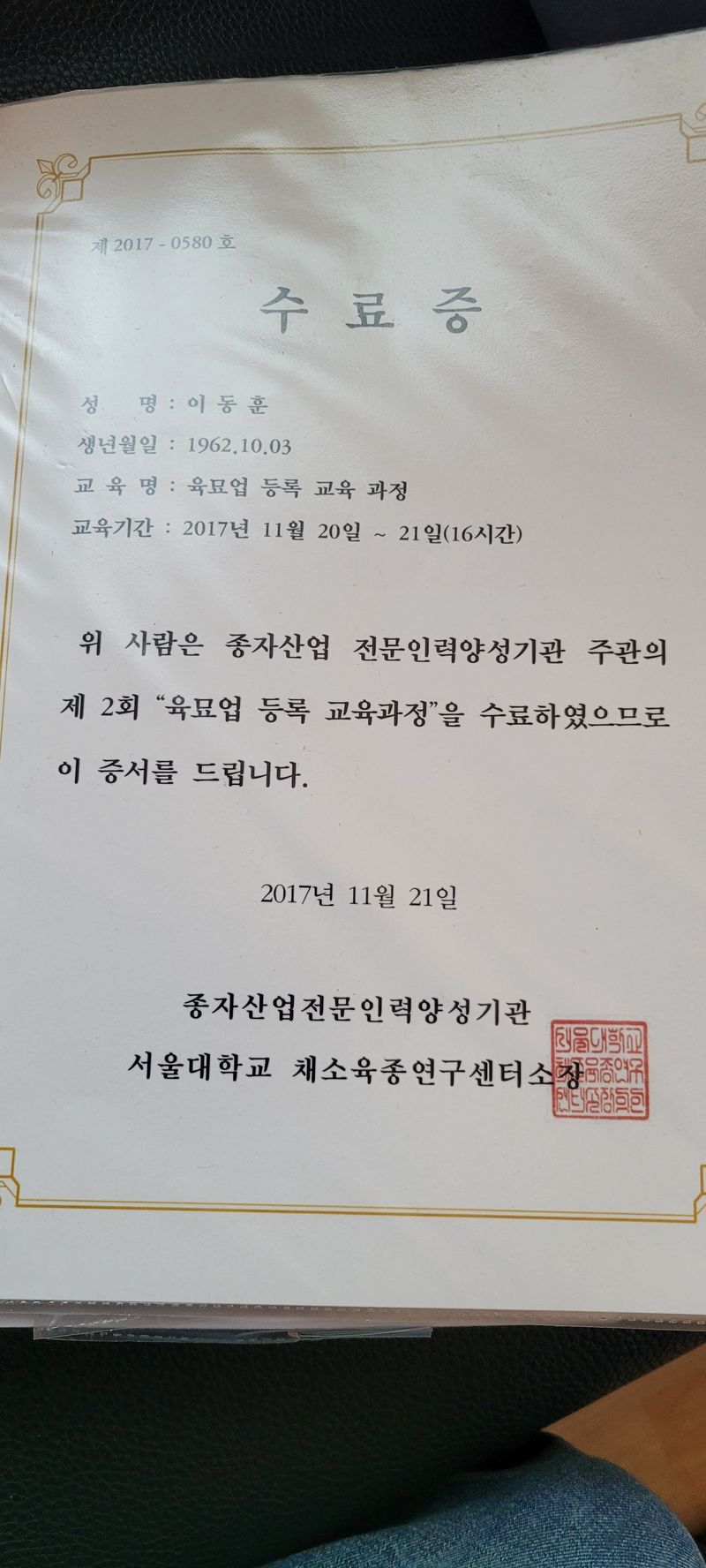 이동훈님의 장터 판매 상품 [고구마종순판매1단(100개기준)] 첨부 사진