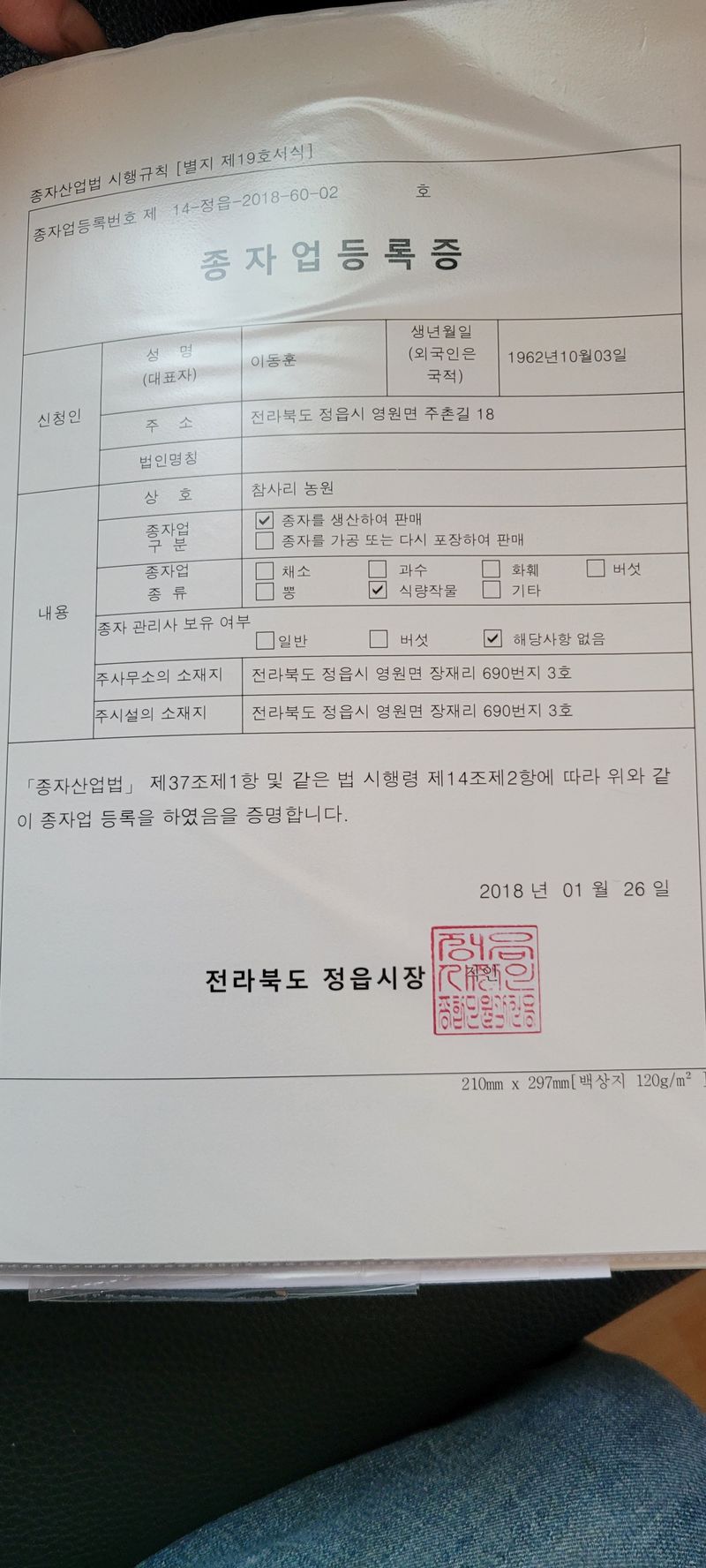 이동훈님의 장터 판매 상품 [고구마종순판매1단(100개기준)] 첨부 사진