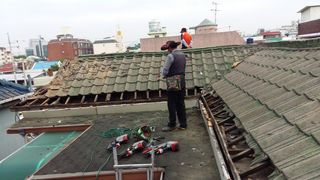 허굴산농장님의 기타작물 · 자유게시판 작성글 사진