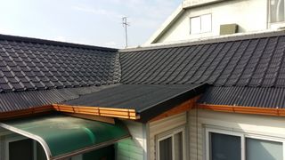 허굴산농장님의 기타작물 · 자유게시판 작성글 사진