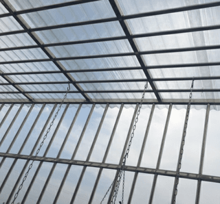 다이쏘(권자영)님의 작성글 사진