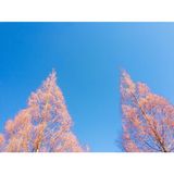 팜모닝 토마토·일상 게시글 이미지