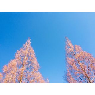 알 수 없음님의 토마토 · 일상 작성글 사진