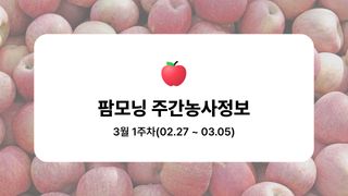 사과 농사도우미님의 사과 · 묘목•접목 작성글 사진