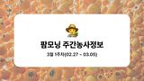 팜모닝 감·농사길잡이 게시글 이미지