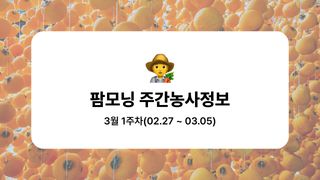 감 농사도우미님의 감 · 농사길잡이 작성글 사진