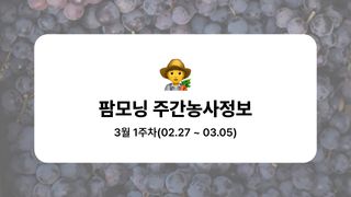 포도 농사도우미님의 포도·농사길잡이 작성글 사진