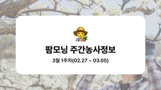 배 농사도우미님의 배 · 품종•종자 작성글 사진