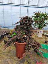 팜모닝 기타작물·자유게시판 게시글 이미지