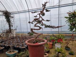 김학구님의 기타작물 · 자유게시판 작성글 사진