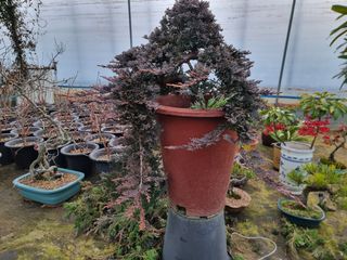 김학구님의 기타작물 · 자유게시판 작성글 사진