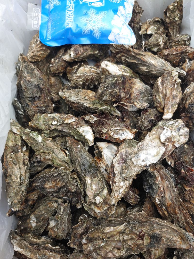 장터 상품 [자연산깐굴 자연산석화] 썸네일