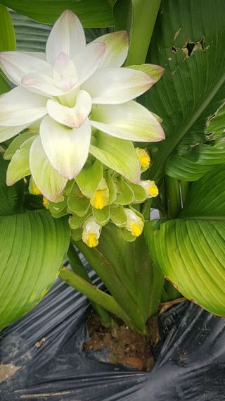 서성권 님의 기타작물 · 자유게시판 작성글 사진