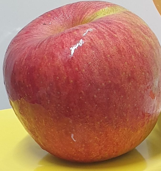 호랑이와인성이님의 장터 판매 상품 [창고대방출 미안마부사 10kg-30~40] 첨부 사진