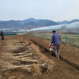 팜모닝 기타작물·자유게시판 게시글 이미지