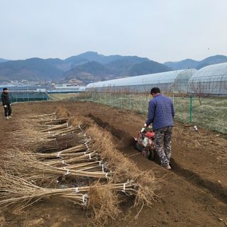 상호현님의 기타작물 · 자유게시판 작성글 사진