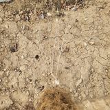 팜모닝 기타작물·자유게시판 게시글 이미지