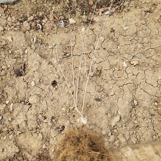 상호현님의 기타작물 · 자유게시판 작성글 사진