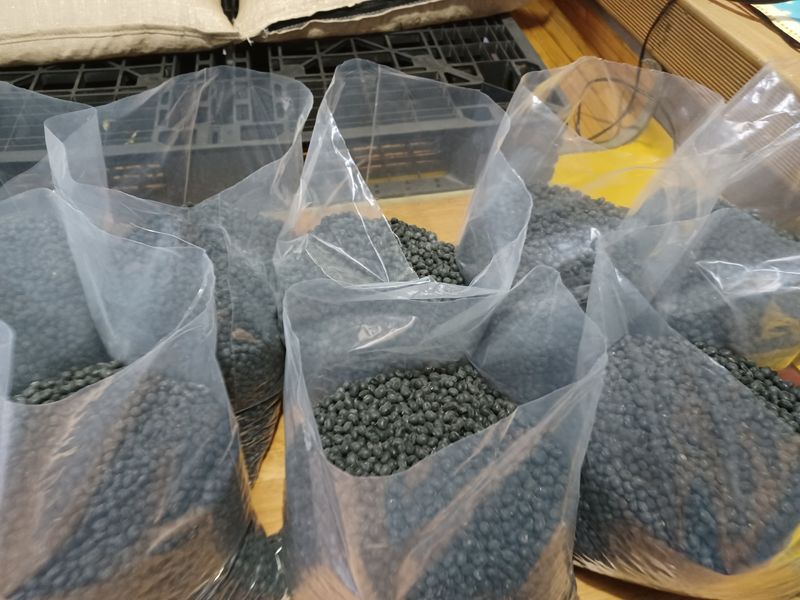 장터 상품 [서리태  청자5호 ] 썸네일