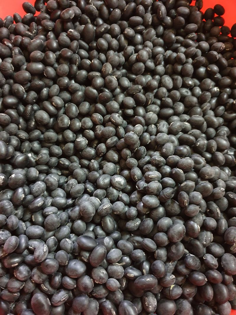 장터 상품 [서리태 팔아유 10kg] 썸네일