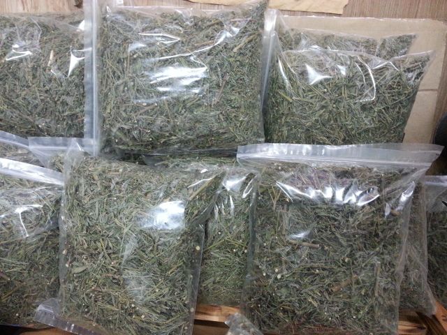 김승태님의 장터 판매 상품 [야관문 1근 (500g) 1만원팝니다.] 첨부 사진