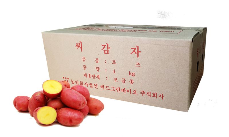 한농농약종묘사님의 장터 판매 상품 [홍감자씨감자 정품 (로즈밸리) 4kg ] 첨부 사진