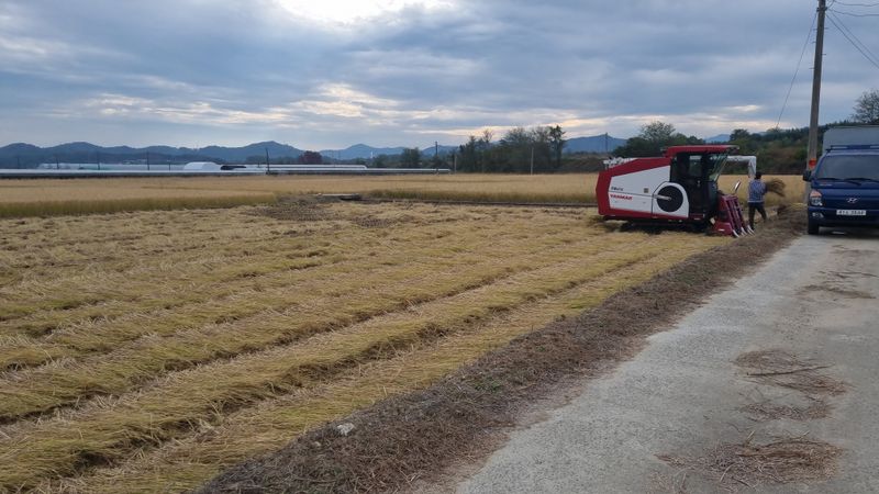 김경희님의 장터 판매 상품 [누룽지 향미찹쌀 20kg] 첨부 사진