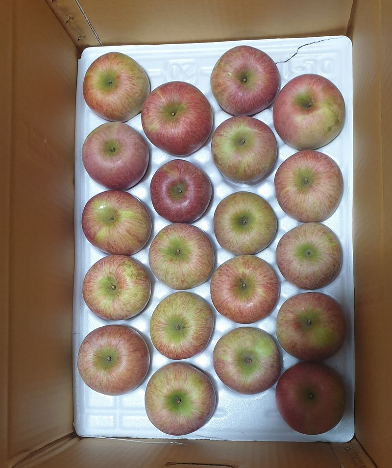 장터 상품 [창고대방출  미안마부사 10kg-50~60개사이] 썸네일