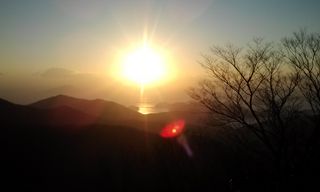 허굴산농장님의 기타작물 · 자유게시판 작성글 사진