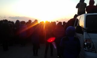 허굴산농장님의 기타작물 · 자유게시판 작성글 사진