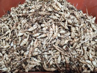 약초를사랑한짱아줌마님의 작성글 사진