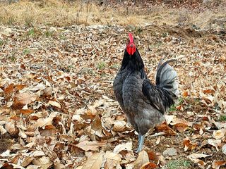 시금치15102님의 작성글 사진