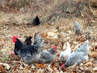 시금치15102님의 작성글 사진