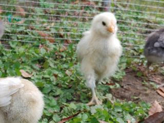 시금치15102님의 작성글 사진